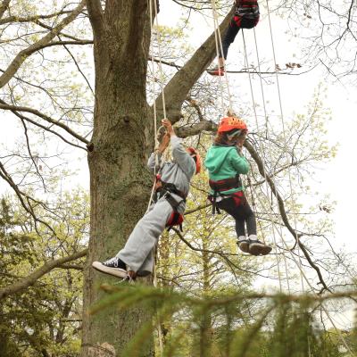 Two young kids – one with a green sweater and blue jeans and one with light sweatpants and a grey shirt climb a tree.