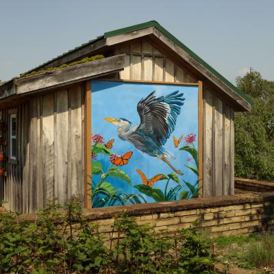 Where Nature Takes Flight