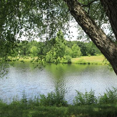 lake