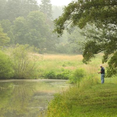 fishing at Dawes Lake
