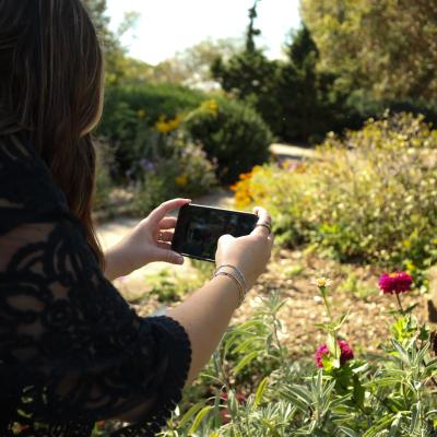 A tan person with long brown hair holds out a smartphone horizontally to take a picture of beautiful gardens for the photo contest.