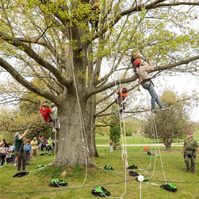 Arbor Day Festival