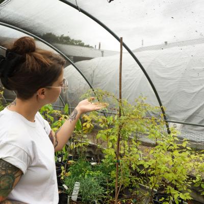 Garden Manager working in the Nursery