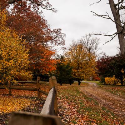 fall