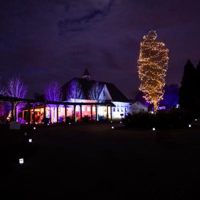 Winter Wonders Walk 2023