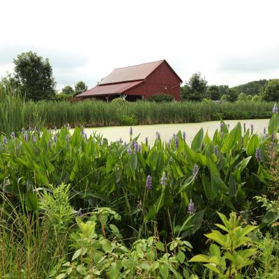 barn