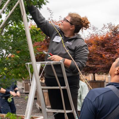 Shannon Barnette stands on a ladder and uses a gardening tool on a tree. There is a person looking up at her with a blue bandana on their head. She is wearing safety glasses with a grey sweatshirt.