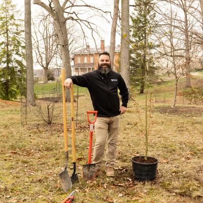 Tree Planting 2