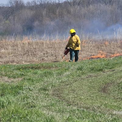 Ecosystems Manager Emma Farmer stands in a burning field in a yellow suit and a hard hat with a drip torch in hand. Emma is working on a prescribed fire.