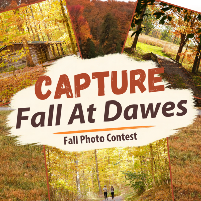 Capture fall at Dawes with our fall photo contest. This graphic is an orange theme design with fall photos in the background. 
