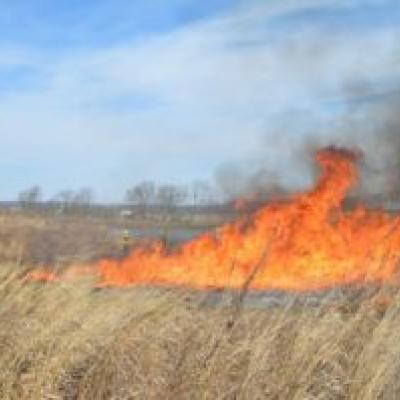 Controlled Burn