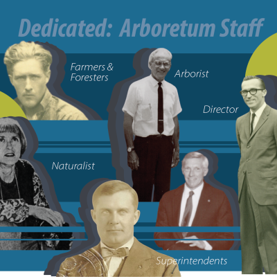 Dedicated History Center Blog Cover 
