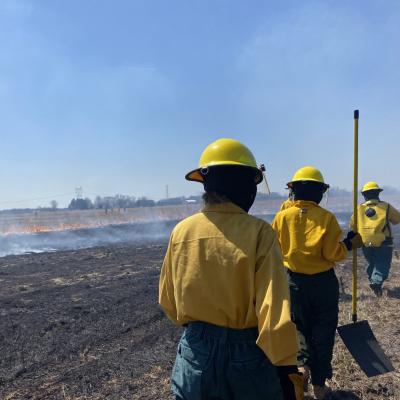 prescribed burns