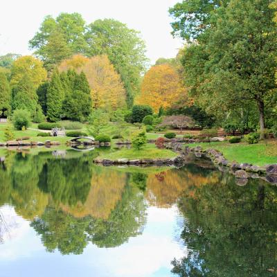 Japanese Garden