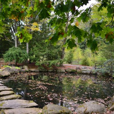 Japanese Garden