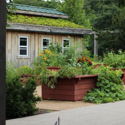 This is a high-resolution photograph of the Learning Garden at The Dawes Arboretum. It is full of raised beds with lush greenery decorated with orange, yellow or pink flowers.