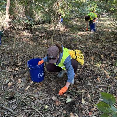 Trash Cleanup