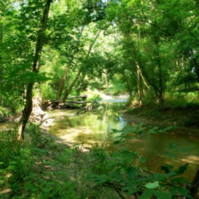 river
