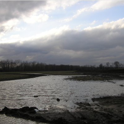 wetlands