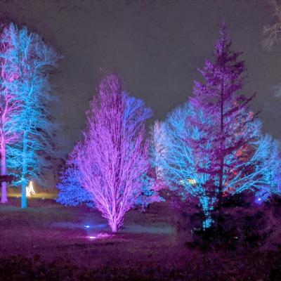 Winter Wonders