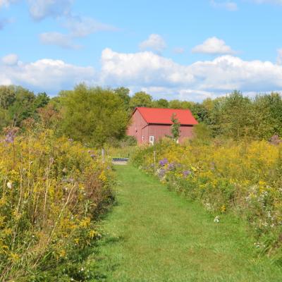 red barn in fall