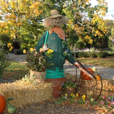 Scarecrows
