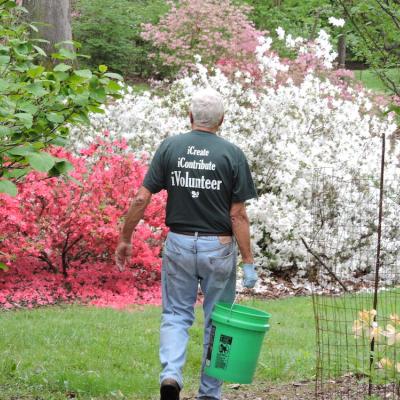 Volunteer