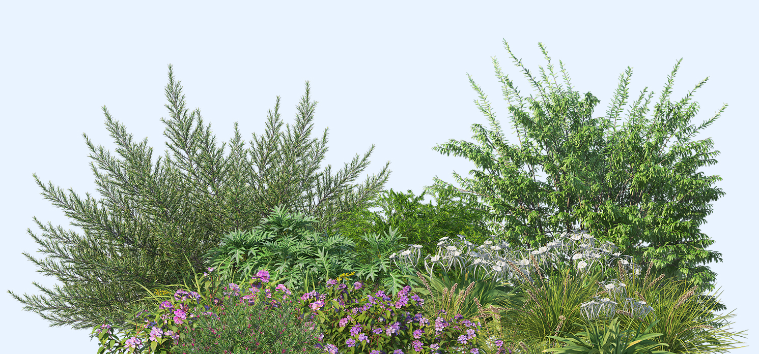foliage